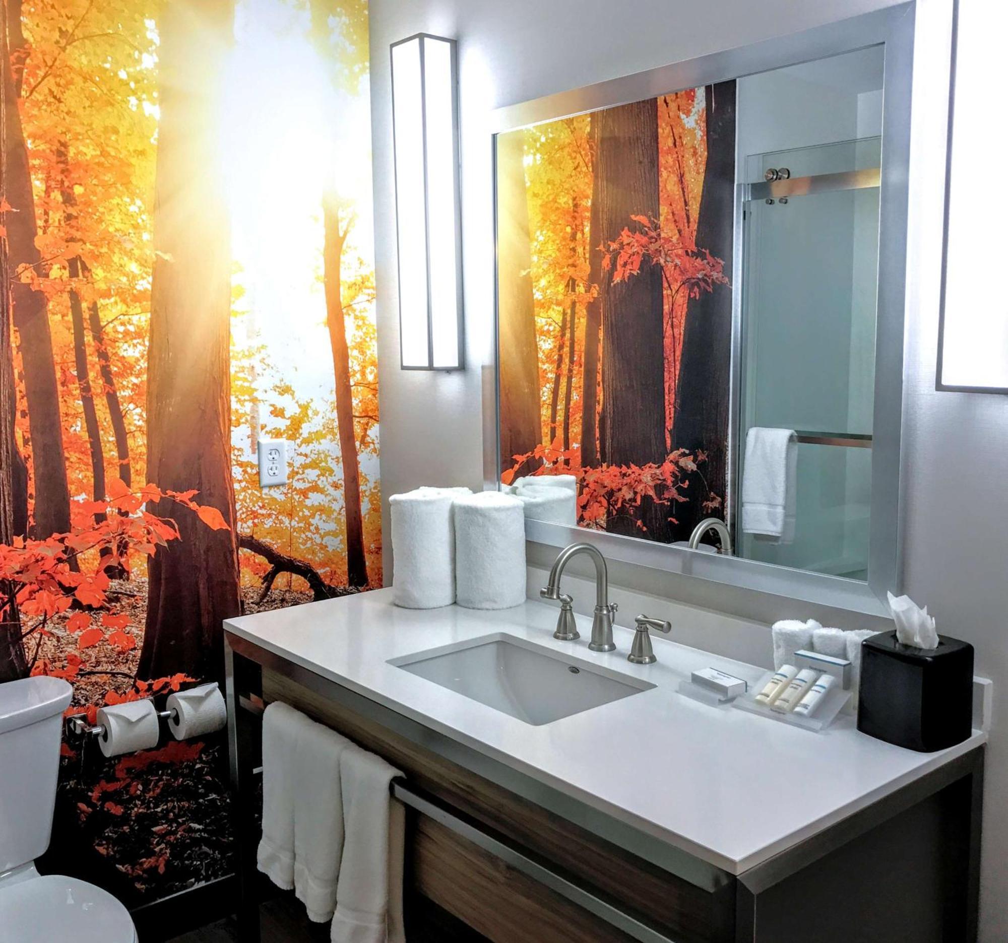 Hilton Garden Minneapolis Airport Mall Of America Hotel 3*
